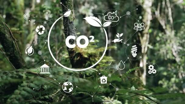 Co2 Reduce Emisiile Conceptul Neutru Din Punct Vedere Emisiilor Dezvoltare — Videoclip de stoc
