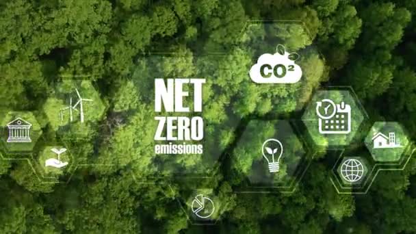 ネットゼロ カーボンニュートラルコンセプト ゼロの温室効果ガス排出目標 緑の森の風景 緑の森の背景の純ゼロアイコンと多角形のアイコンとの長期戦略 4K映像 — ストック動画