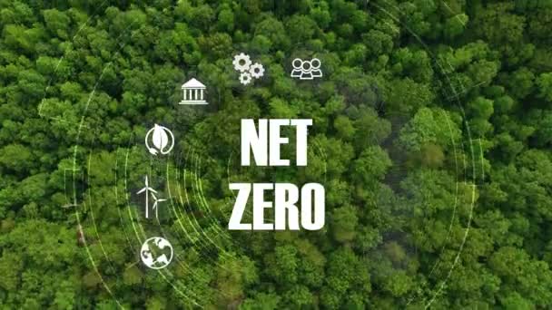 ネットゼロ カーボンニュートラルコンセプト ゼロの温室効果ガス排出目標 緑の森の風景 円の背景4K映像の網のアイコンそしてアイコンが付いている長期戦略 — ストック動画