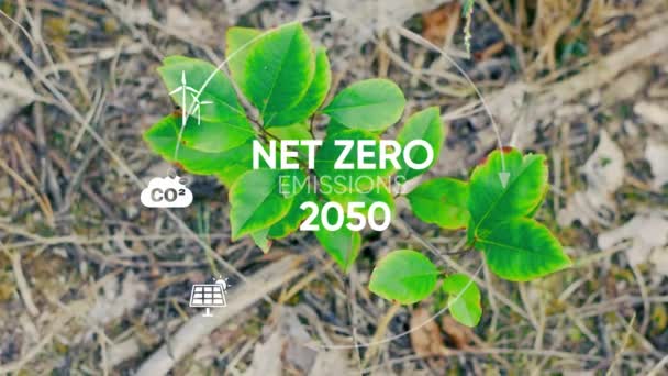 Netto Emissievrije Concept 2050 Langetermijnstrategie Co2 Reductie Milieutechnologiejonge Groene Plant — Stockvideo