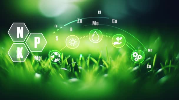 Зелена Трава Екологічна Концепція Eco Chemical Elements Co2 Reduse Корпоративне — стокове відео