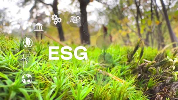 Esgのコンセプト 環境社会とガバナンス グリーンな自然背景に関するネットワーク接続に関する持続可能で倫理的なビジネス 4K企業ビデオ — ストック動画