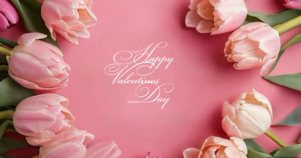 Ευτυχισμένη Ημέρα Του Αγίου Βαλεντίνου Όμορφες Τουλίπες Ροζ Φόντο Συγχαρητήρια — Αρχείο Βίντεο