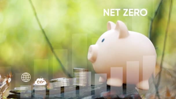 Koncepcja Netto Zero Finanse Koncepcja Biznesowa Świnka Bank Zbliżenie Infografiki — Wideo stockowe