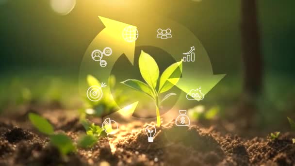 Concepto Economía Circular Para Crecimiento Futuro Las Empresas Sostenibilidad Ambiental — Vídeo de stock