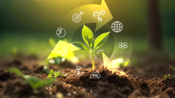 Circulaire Economie Concept Voor Toekomstige Bedrijfsgroei Milieuduurzaamheid Vermindering Van Vervuiling — Stockvideo