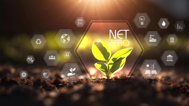 Netto Null Co2 Neutrales Konzept Netto Null Treibhausgasemissionen Ziel 2050 — Stockvideo
