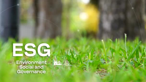 Esg環境社会ガバナンス投資ビジネスコンセプト Esgアイコン ビジネス投資戦略コンセプト Co2削減 デジタルホログラム コーポレート4Kビデオ — ストック動画