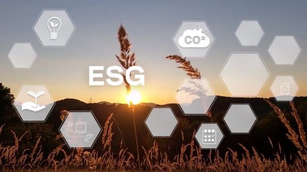 Esg Екологічне Соціальне Управління Інвестиційна Бізнес Концепція Піктограми Esg Концепція — стокове відео