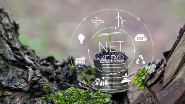 Стек Монет Молодою Зеленою Рослиною Net Нейтральною Концепцією Вуглецю 2050 — стокове відео