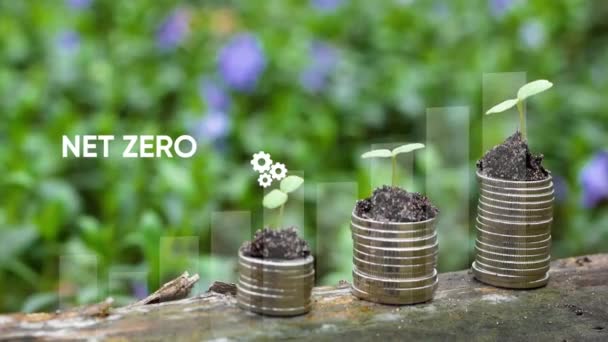 Concetto Zero Netto Carbon Neutral 2050 Grafico Crescita Con Icone — Video Stock