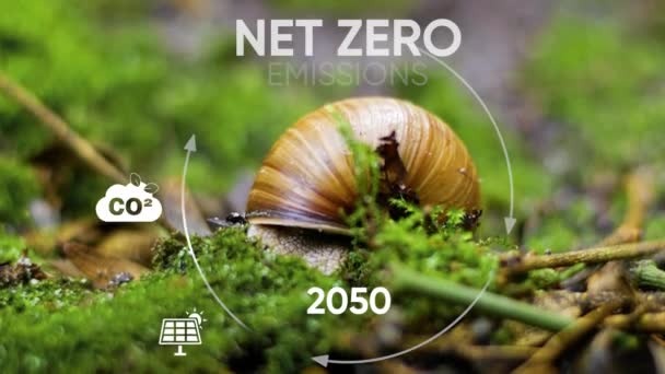 Conceito Neutro Carbono Zero Líquido Objectivo Emissões Líquidas Gases Com — Vídeo de Stock
