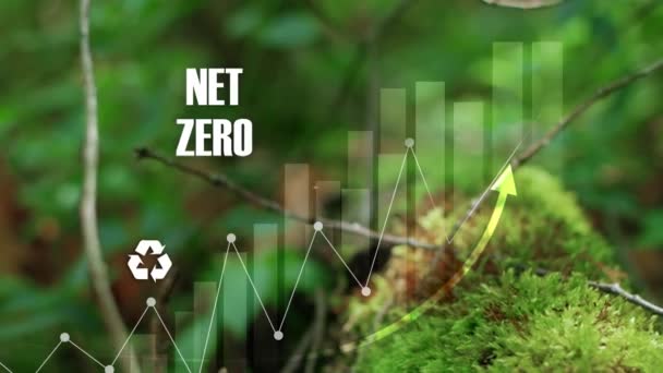 Net Zero Emissions Carbon Neutral Concept Net Zero Greenhouse Gas — Stock Video