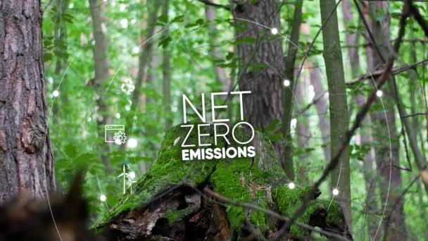 純ゼロエミッション カーボンニュートラルコンセプト 温室効果ガス排出量ゼロ目標2050 気候中立的な長期戦略 2050 グリーンサークルの背景に純ゼロデジタルアイコン — ストック動画