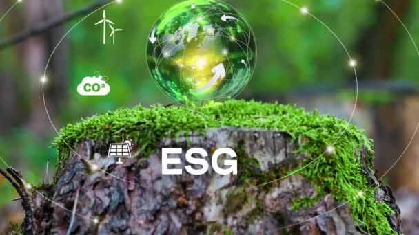 Ambiental Social Governance Esg Concept Company Development Nature Conservation Strategy — Vídeo de Stock