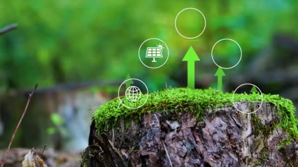 Umwelttechnologiekonzept Grüne Energie Innovationen Grüne Technologie Grüne Natur Hintergrund Reduzieren — Stockvideo
