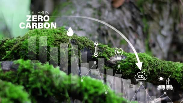 Zero Carbonio Zero Emissioni Nette Carbon Neutral Carbon Reduce Strategia — Video Stock