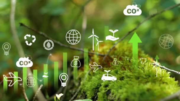 Conceptul Reducere Emisiilor Co2 Infografic Icoane Reducerea Emisiilor Carbon Conceptul — Videoclip de stoc