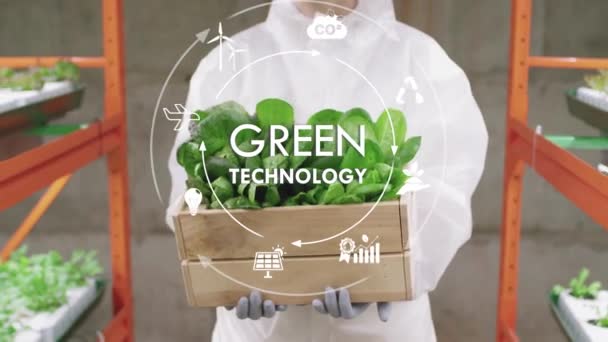 Концепція Зелених Технологій Інженер Білому Просторі Носить Руках Дерев Яну — стокове відео