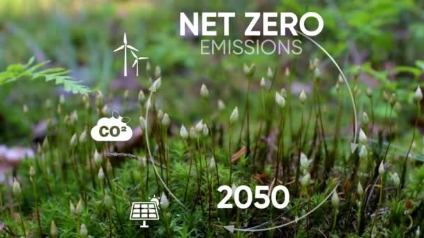 ネットゼロ 2050 カーボンニュートラル概念 ゼロの温室効果ガス排出目標 気候中立的な長期戦略 有毒なガスはない 気候変動とグルーバルの温暖化を制限する 持続可能なビジネス開発 4Kビデオ — ストック動画