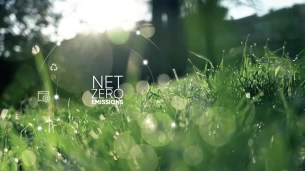Netto Null 2050 Co2 Neutrales Konzept Netto Null Treibhausgasemissionen Ziel — Stockvideo