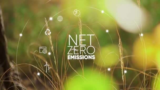 ネットゼロ 2050 カーボンニュートラル概念 ゼロの温室効果ガス排出目標 気候中立的な長期戦略 有毒なガスはない 気候変動とグルーバルの温暖化を制限する 緑の草の背景に純ゼロインフォグラフィック — ストック動画