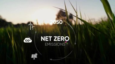 İnternet 0-2050. Karbon nötr konsept. Net sıfır sera gazı emisyon hedefi. İklim nötr uzun vadeli strateji. Net sıfır ikon yeşil manzara arka planına sahip büyüme grafiği.