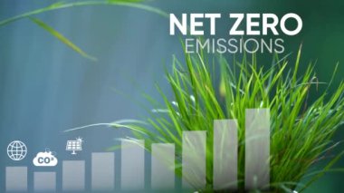 İnternet 0-2050. Karbon nötr konsept. Net sıfır sera gazı emisyon hedefi. İklim nötr uzun vadeli strateji. Net sıfır ikonlu büyüme grafiği. Zehirli gaz yok.