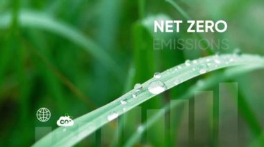 İnternet 0-2050. Karbon nötr konsept. Net sıfır sera gazı emisyon hedefi. İklim nötr uzun vadeli strateji. Geniş doğa arka planında net sıfır simge içeren büyüme grafiği.