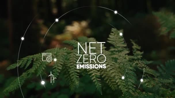 Netto Null Emissionskonzept 2050 Co2 Neutrales Konzept Netto Null Treibhausgasemissionen — Stockvideo