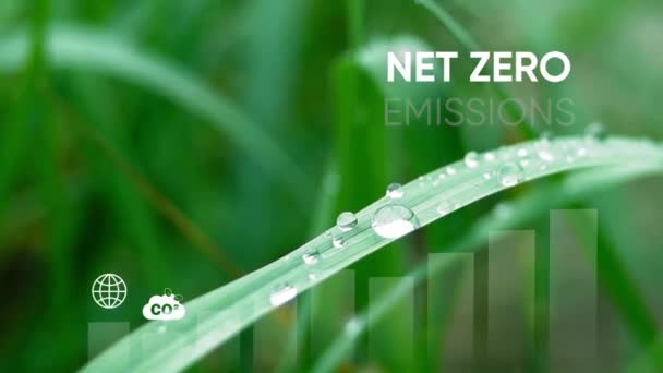Zero Netto 2050 Concetto Neutrale Carbonio Obiettivo Netto Zero Emissioni — Video Stock