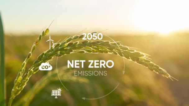 Nulla 2050 Nettó Karbonsemleges Koncepció Üvegházhatást Okozó Gázok Kibocsátásának Nettó — Stock videók