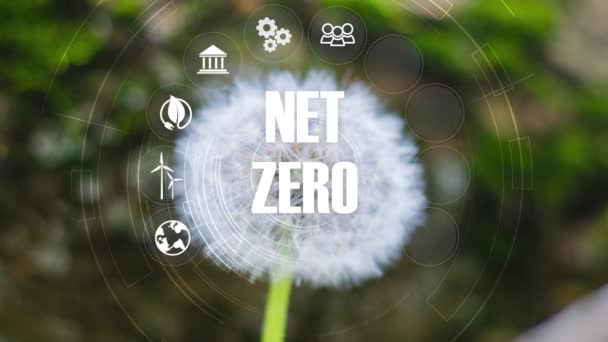 Cero Neto Concepto Neutro Carbono Objetivo Neto Cero Emisiones Gases — Vídeo de stock