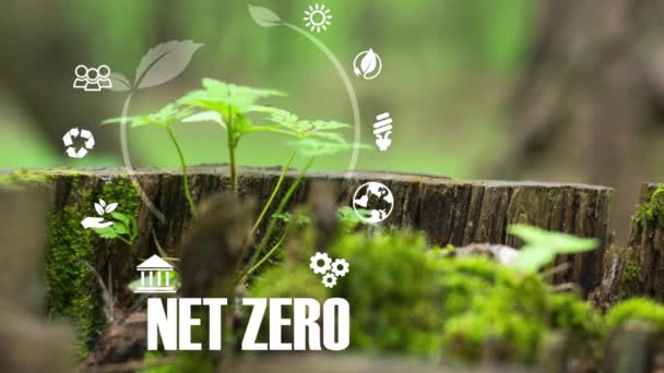 Net Zero Concept Neutre Carbone Objectif Zéro Émission Nette Gaz — Video