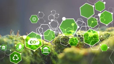  Karbon emisyonlarının azaltılması, karbon nötr konsept. Net sıfır sera gazı emisyon hedefi. Karbon ayak izi konseptini azaltıyorum. Dijital simgeler. 4K video