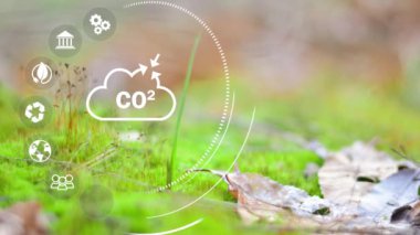 Yeşil enerji kavramı küresel ısınmayı azaltmaya yardımcı olur. Sektör sıfır karbon konseptinde karbondioksit emisyonu. 4K