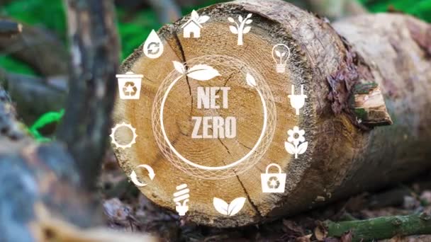 Net Zero Emission Carbon Neutral Concept Net Zero Greenhouse Gas — Stock Video