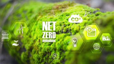 Sıfır, karbon nötr konsept. Net sıfır sera gazı emisyonları hedef 2050. İklim nötr uzun vadeli strateji 2050, yakın plan yeşil zemin arka plan 44k video üzerinde net sıfır çokgen simge