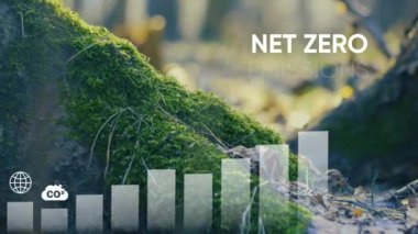 İnternet 0-2050. Karbon nötr konsept. Net sıfır sera gazı emisyon hedefi. İklim nötr uzun vadeli strateji. Net sıfır simgeli büyüme grafiği..