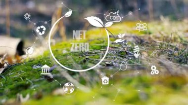 Sıfır, karbon nötr konsept. Net sıfır sera gazı emisyon hedefi. Yeşil doğa arka planında net sıfır simgesine sahip tarafsız uzun vadeli iklim stratejisi.
