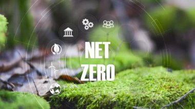 Sıfır, karbon nötr konsept. Net sıfır sera gazı emisyon hedefi. Yeşil doğa arka plan 44k video üzerinde net sıfır simge ile iklim nötr uzun vadeli strateji