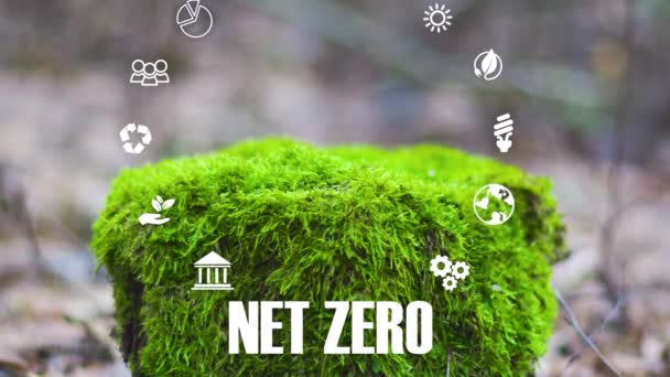 Zero Netto Concetto Carbon Neutral Obiettivo Netto Zero Emissioni Gas — Video Stock