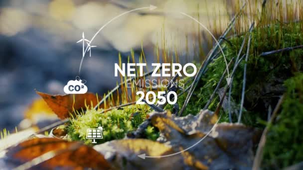 Чистая Нулевая Углеродно Нейтральная Концепция 2050 Чистая Цель Нулевых Выбросов — стоковое видео
