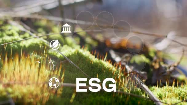 Esg Environmentální Sociální Správa Investičních Podniků Koncepce Esg Ikony Strategie — Stock video