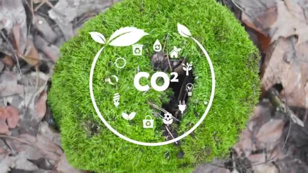 Co2는 순수한 배출량 Esg 이산화탄소 깨끗한 제로의 환경을 감소시킵니다 가능한 — 비디오