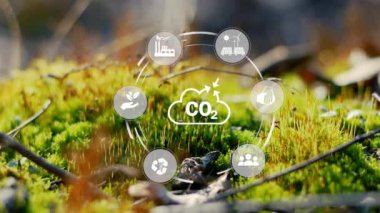 Temiz enerji kullanarak karbondioksit salınımını azaltma ve iklim değişikliği sorununu yeşil çevre arka planındaki ilgili simgeyle azaltma kavramı