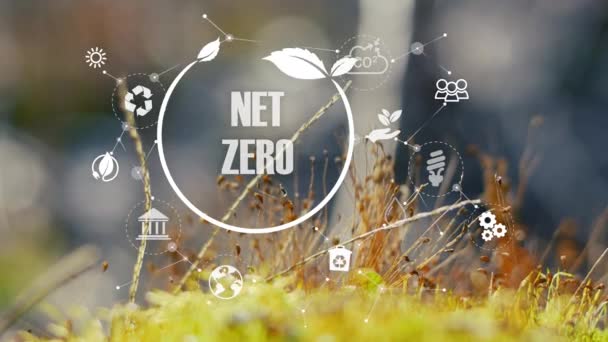 Zero Netto Entro 2050 Neutro Carbonio Obiettivo Netto Zero Emissioni — Video Stock