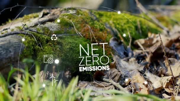 Netto Null Emissionen Bis 2050 Co2 Neutral Netto Null Treibhausgasemissionen — Stockvideo