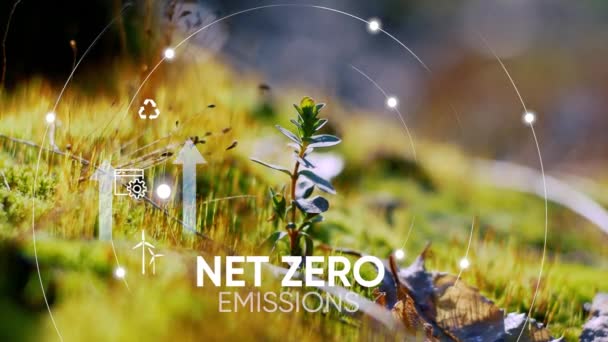 Conceito Neutro Carbono Zero Líquido Objectivo Emissões Líquidas Gases Com — Vídeo de Stock