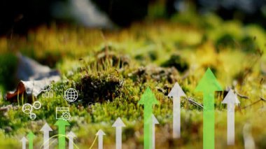 CO2, küresel ısınma ve iklim değişikliğini sınırlamak için emisyonları ve karbon ayak izini azaltır. Yenilenebilir enerjiye dayalı sürdürülebilir kalkınma ve yeşil işletme. Ekoloji kavramı 4k